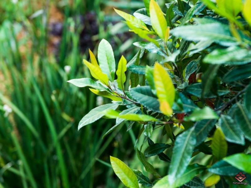 4/245 Handford Road, Taigum QLD 4018