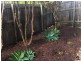 Pacific Pines QLD 4211