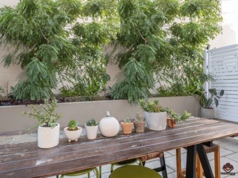 246 Arthur Street, Teneriffe QLD 4005