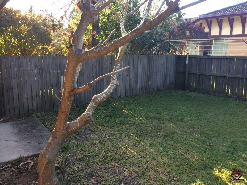 125 Hansford Road, Coombabah QLD 4216