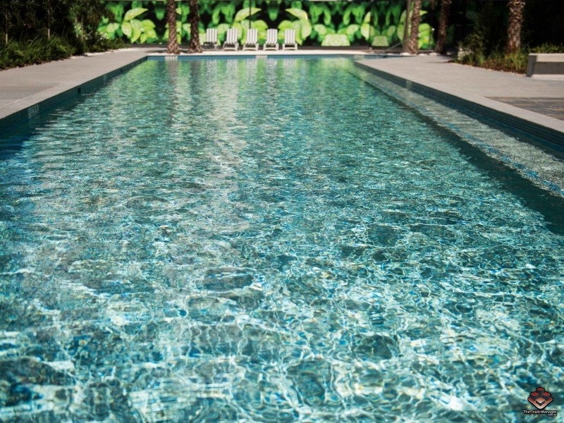 24 Stratton Street, Newstead QLD 4006