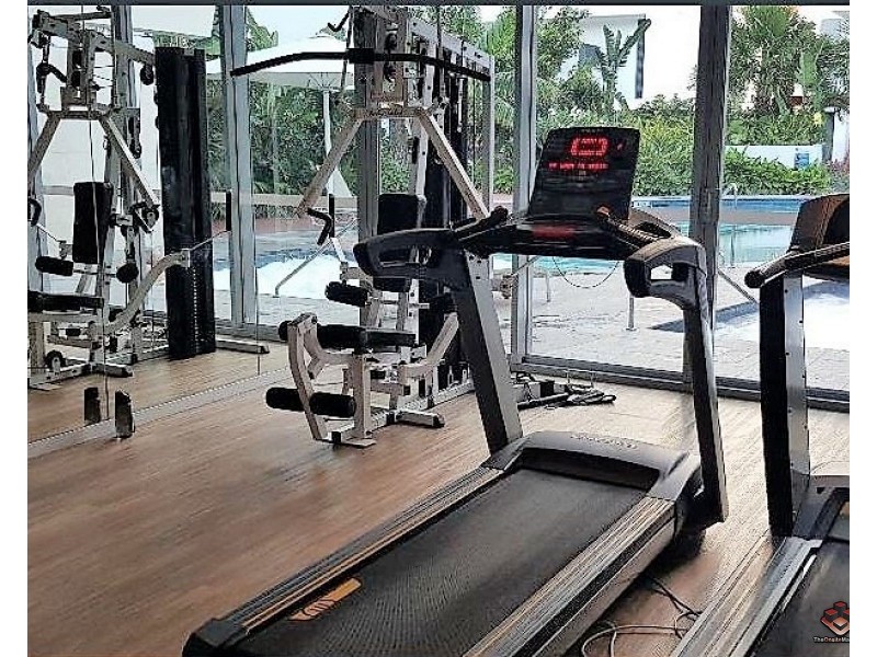 31 East Quay Drive, Biggera Waters QLD 4216