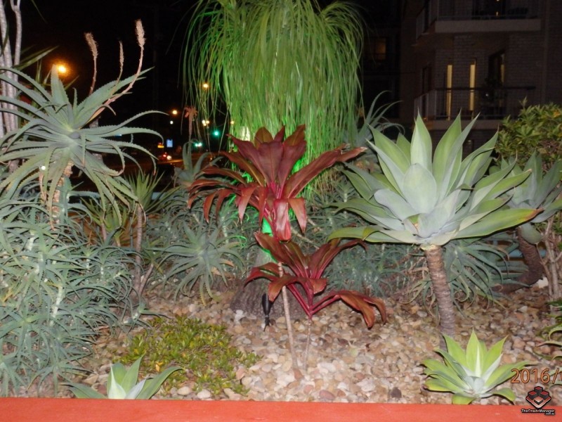 140 Marine Parade, Southport QLD 4215