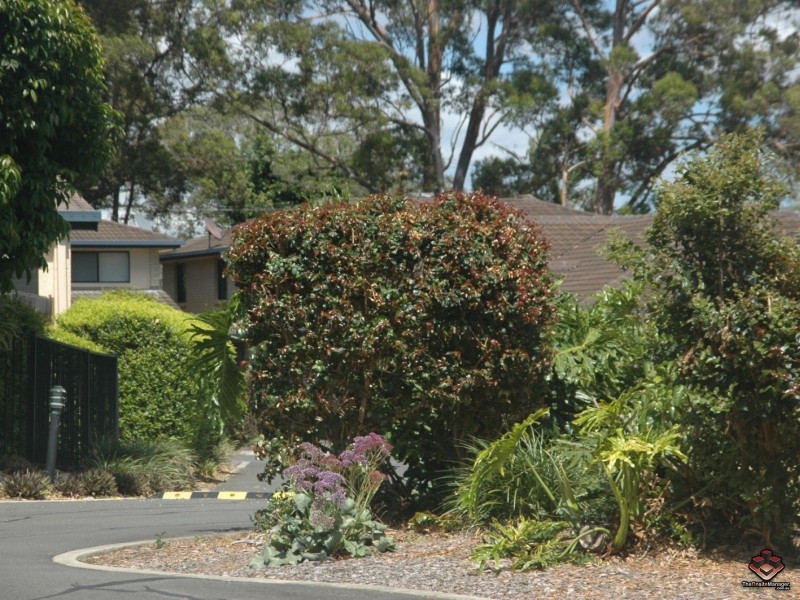 247 Mooroondu Road, Thorneside QLD 4158