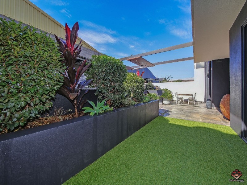 38 Love Street, Bulimba QLD 4171