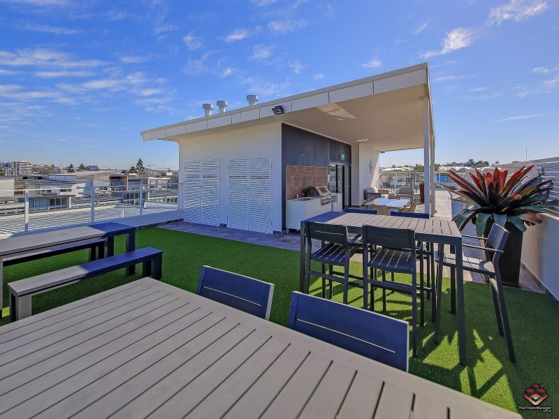 38 Love Street, Bulimba QLD 4171