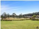 433 Brisbane Road, Coombabah QLD 4216