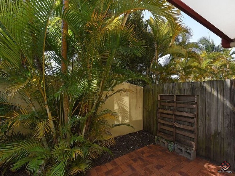 Sippy Downs QLD 4556