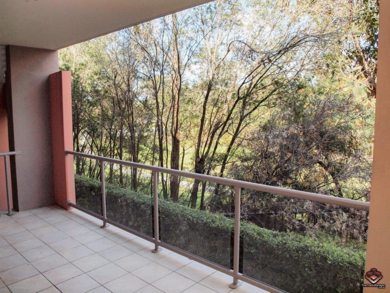 19 Carina Peak Drive, Varsity Lakes QLD 4227