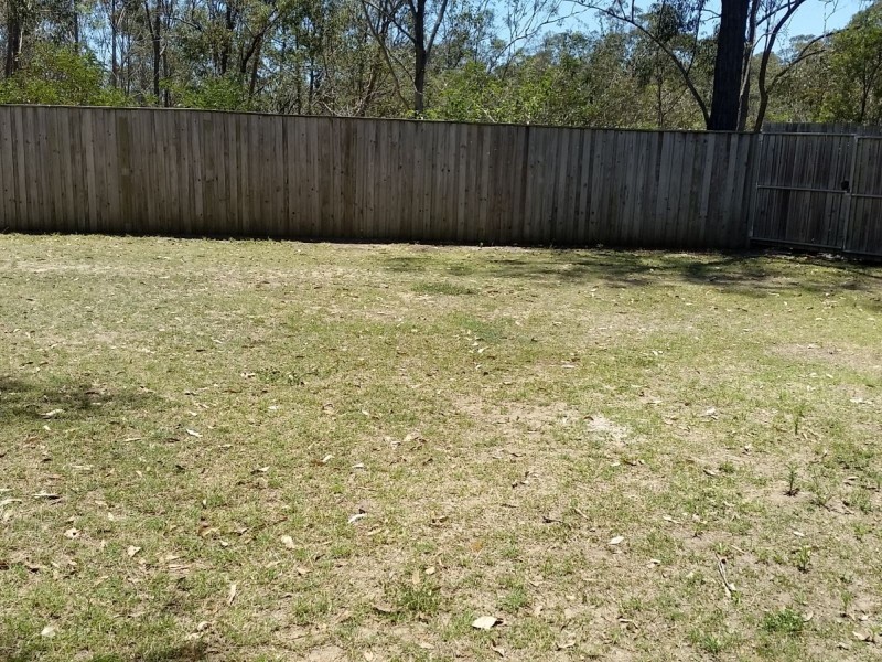 13 Springfield College Drive, Springfield QLD 4300