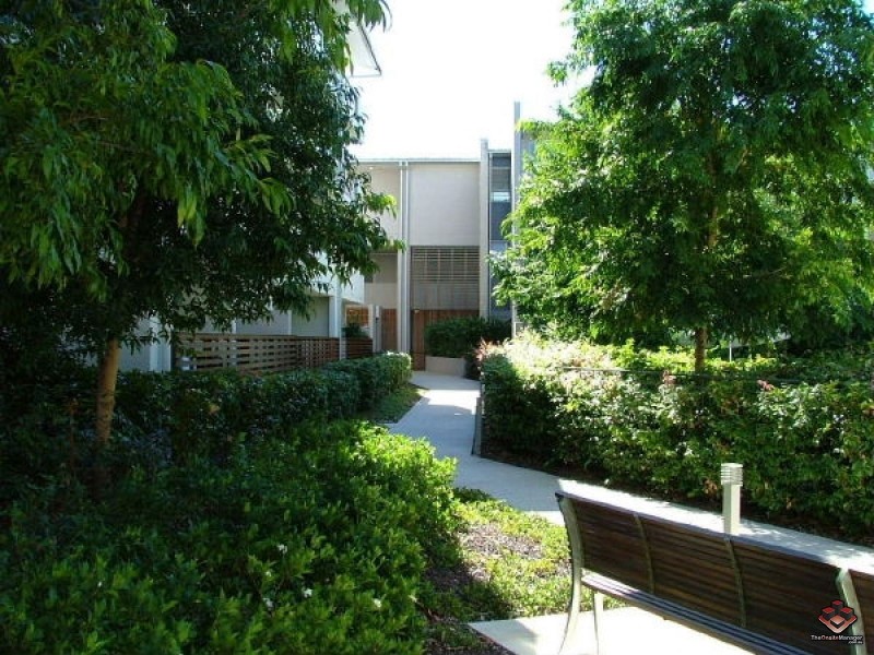 71 Beeston Street, Teneriffe QLD 4005