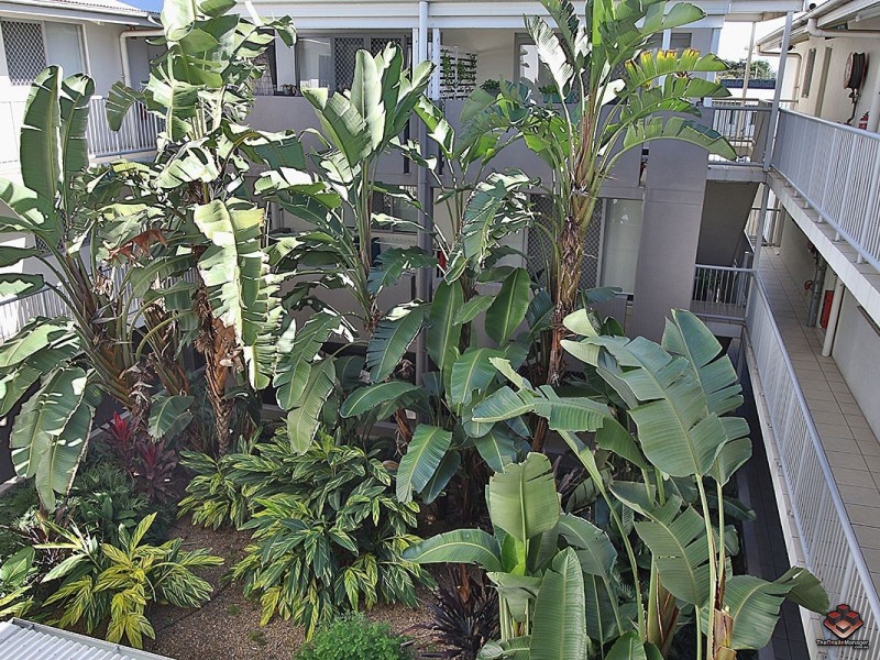 223 Tufnell Road, Banyo QLD 4014