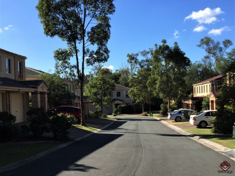 115 Gumtree Street, Runcorn QLD 4113