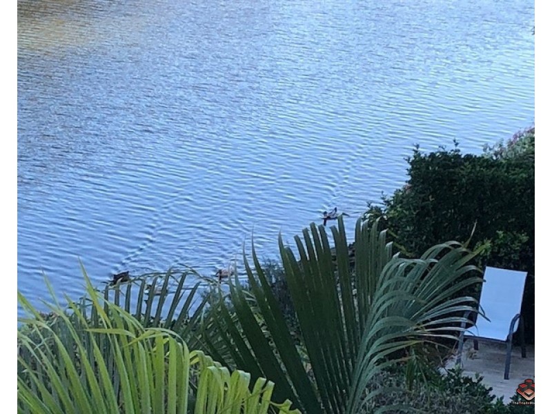 4 University Drive, Robina QLD 4226