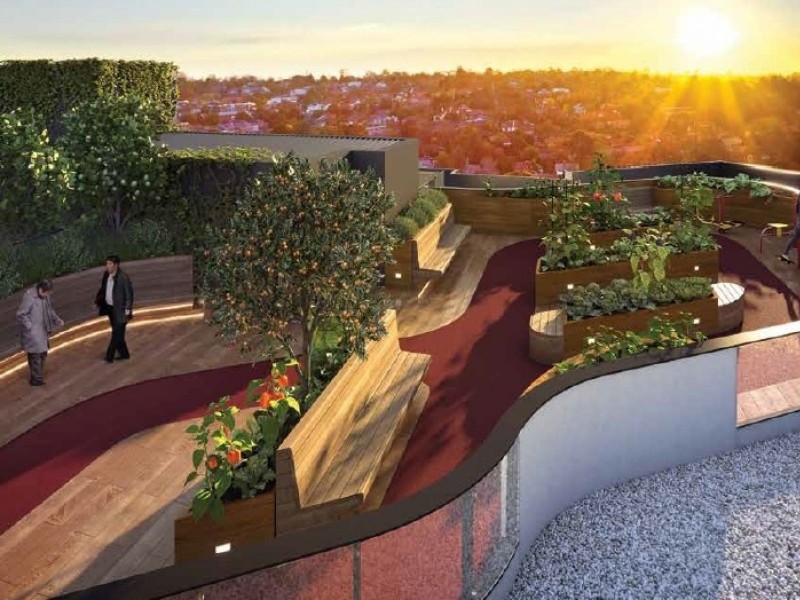 19 Poplar Street, Box Hill VIC 3128