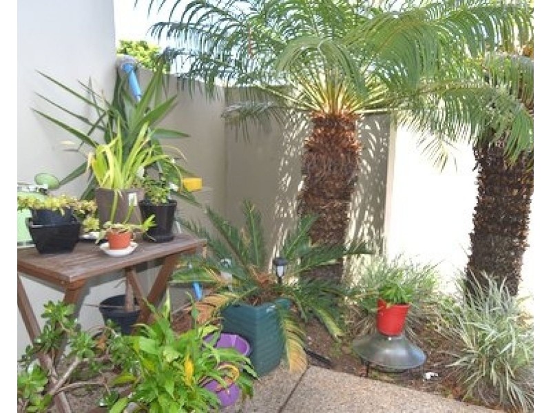 1 Boulton Drive, Nerang QLD 4211