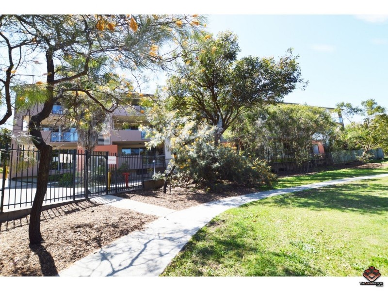 41/19 Carina Peak Drive, Varsity Lakes QLD 4227