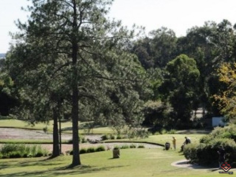 433 Brisbane Road, Coombabah QLD 4216