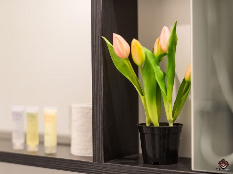 19 Poplar Street, Box Hill VIC 3128