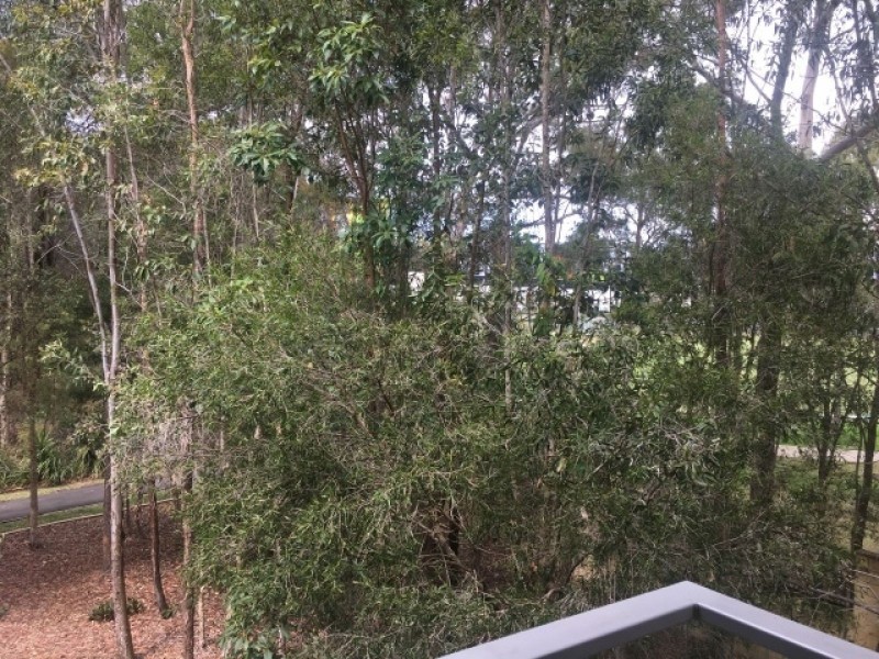 9 Banksia – 154 Musgrave Avenue, Southport QLD 4215