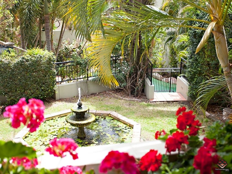 53/19 Dixon Street, New Farm QLD 4005