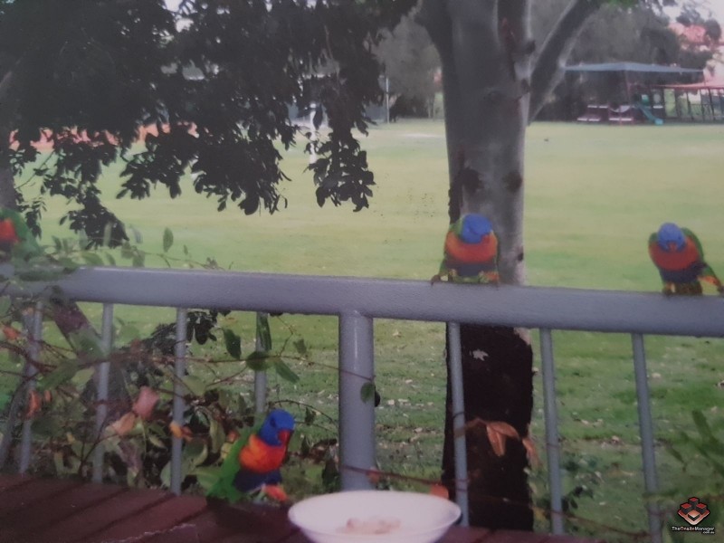 63/20 Fairway Drive, Clear Island Waters QLD 4226