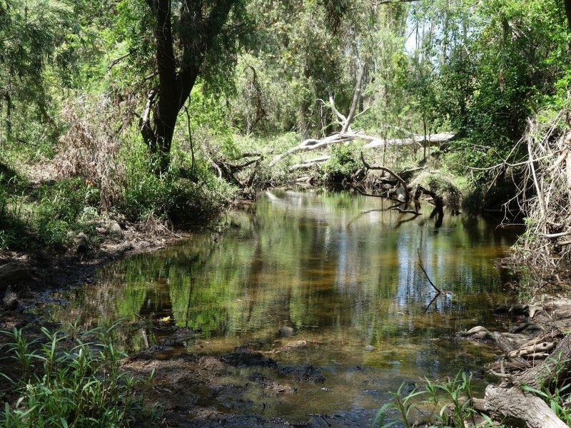 386 Delleys Road, Dallarnil QLD 4621