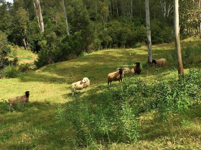 4/1 Wellington Street, Brassall QLD 4305