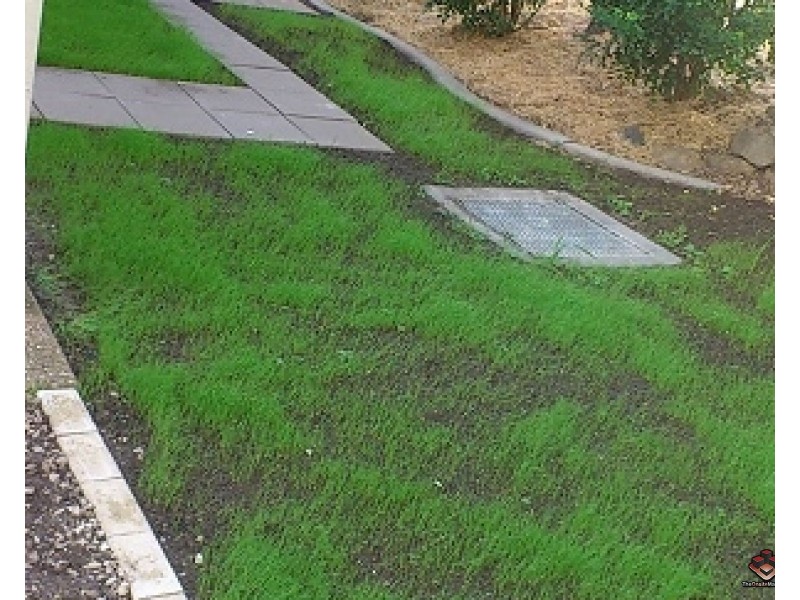 6 Buddy Holly Close, Parkwood QLD 4214