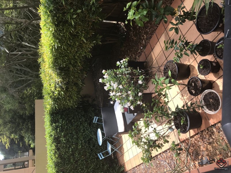 24 Slatyer Avenue, Bundall QLD 4217