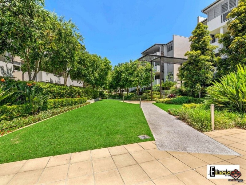 71 Beeston Street, Teneriffe QLD 4005