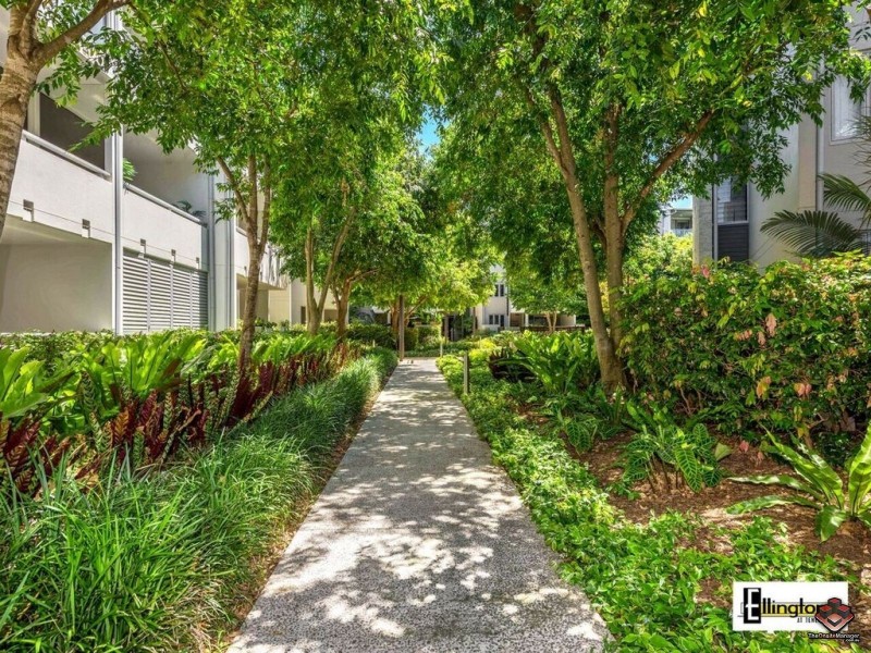 71 Beeston Street, Teneriffe QLD 4005