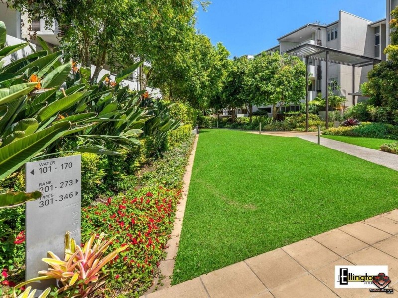 71 Beeston Street, Teneriffe QLD 4005