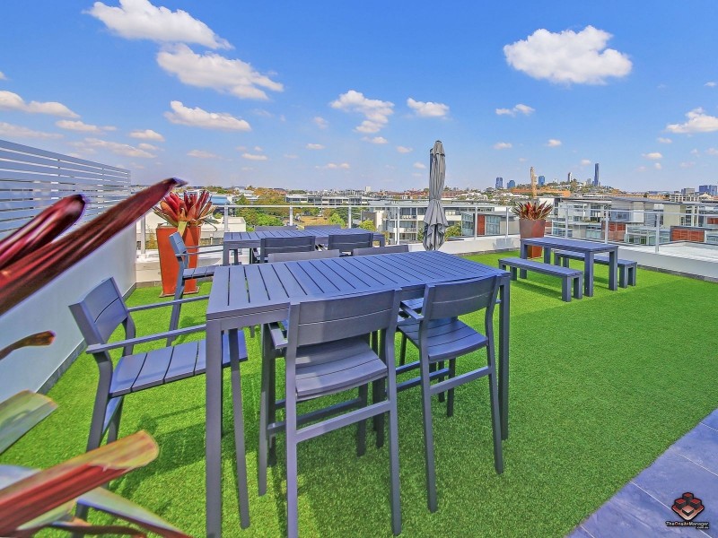 38 Love Street, Bulimba QLD 4171