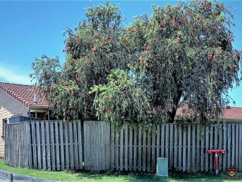 7/167 CENTRAL, Labrador QLD 4215