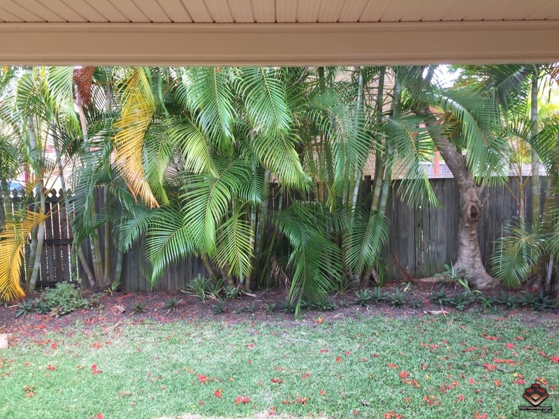 125 Hansford Road, Coombabah QLD 4216