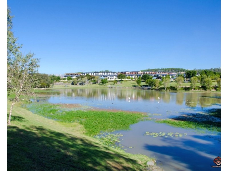 Pacific Pines QLD 4211