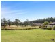 433 Brisbane Road, Coombabah QLD 4216