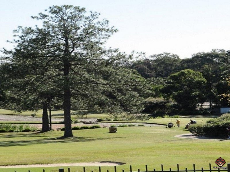 433 Brisbane Road, Coombabah QLD 4216