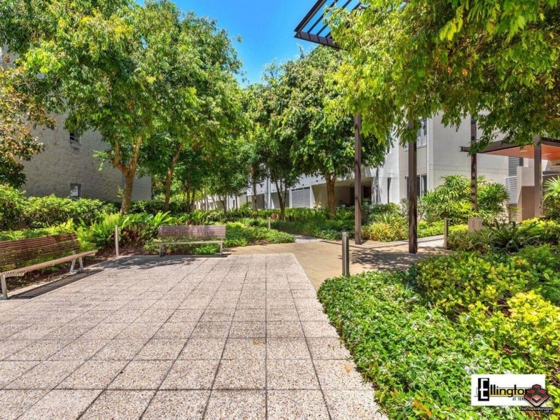 71 Beeston Street, Teneriffe QLD 4005