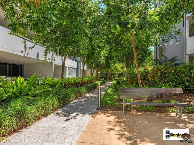 71 Beeston Street, Teneriffe QLD 4005