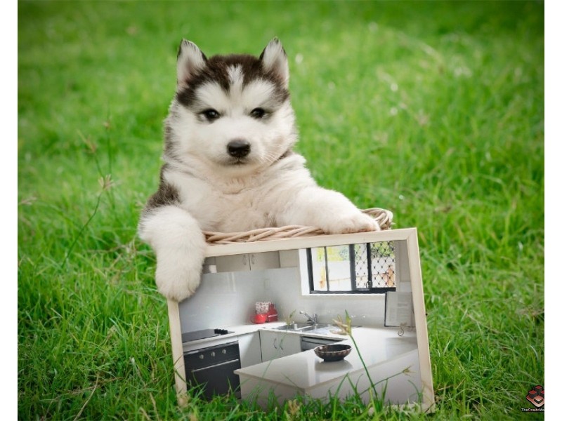 ID:3891504/47 Freshwater Street, Thornlands QLD 4164