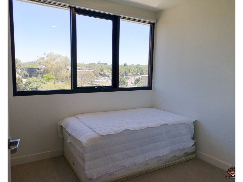 17 Poplar Street, Box Hill VIC 3128
