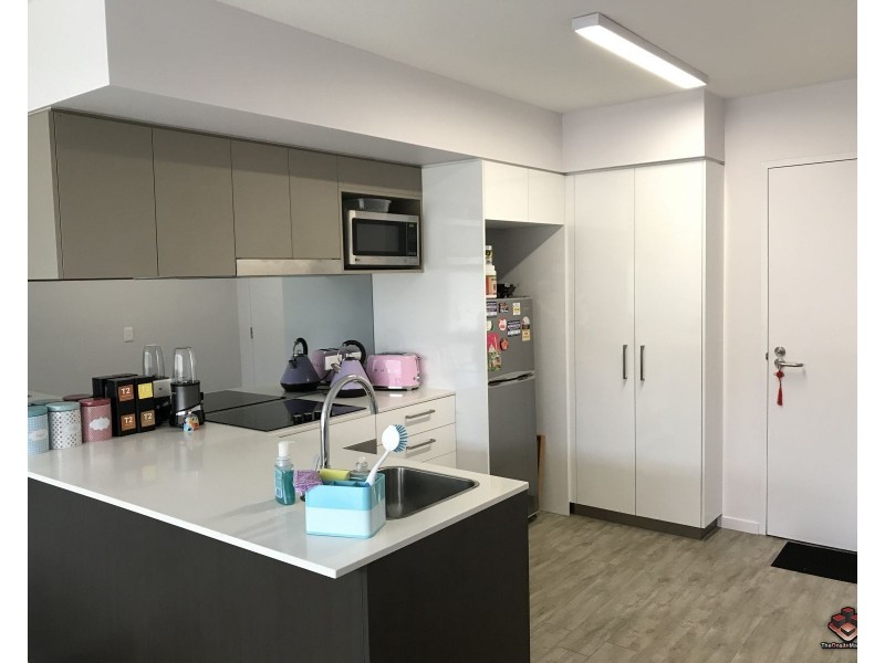 17 Carl Street, Woolloongabba QLD 4102