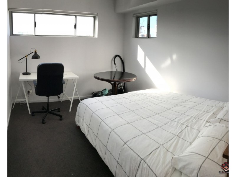 17 Carl Street, Woolloongabba QLD 4102