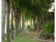 1 Resort Drive, Robina QLD 4226