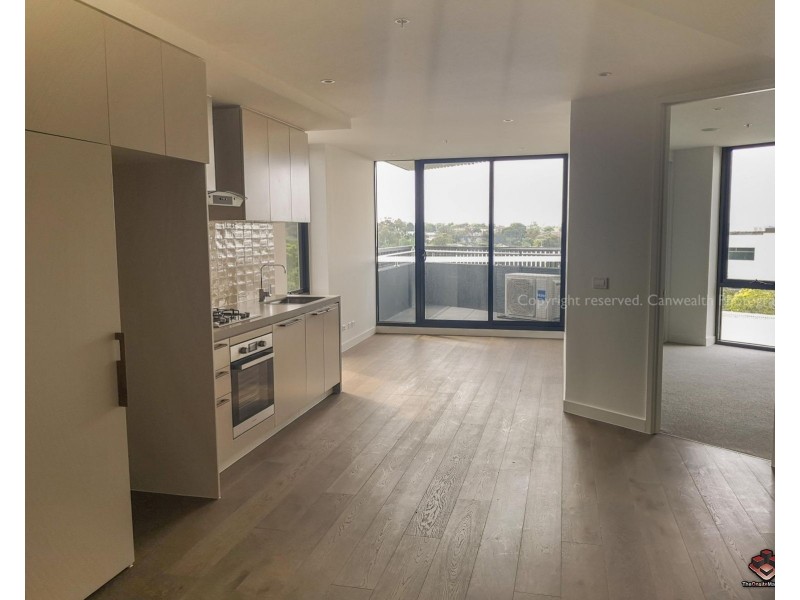 19 Poplar Street, Box Hill VIC 3128