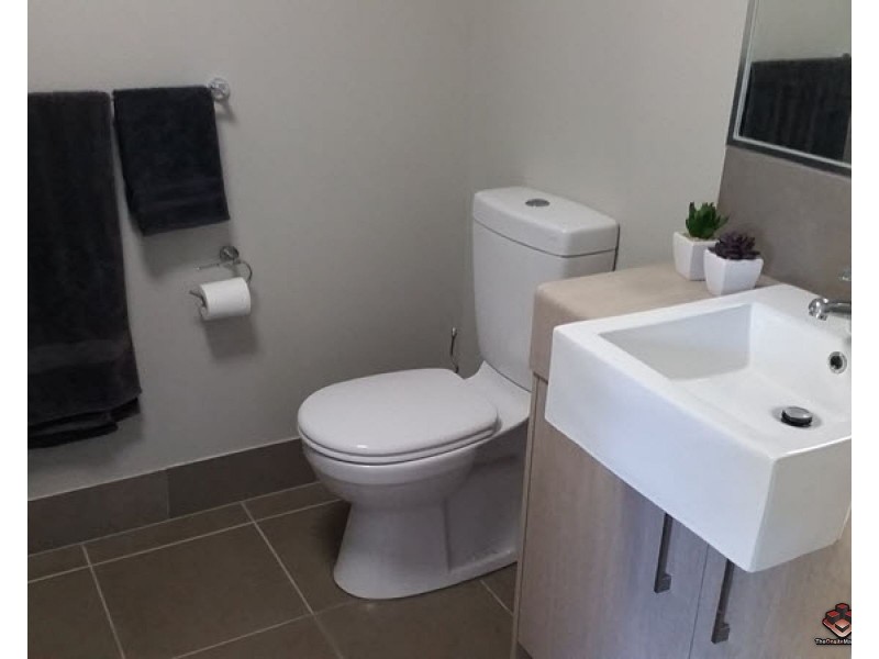 43 / 10 Crayfish street, Mountain Creek QLD 4557