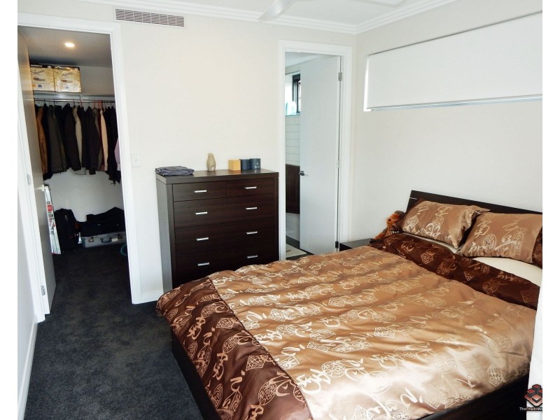 38 Love Street, Bulimba QLD 4171