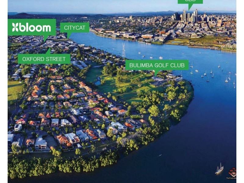 38 Love Street, Bulimba QLD 4171